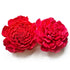 Red Sola Wood Flower Pack of 10
