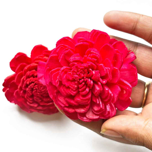 Red Sola Wood Flower Pack of 10