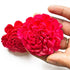 Red Sola Wood Flower Pack of 10