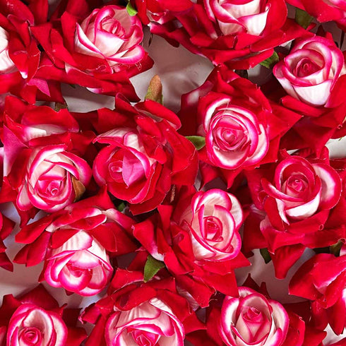 Dark Pink & White Shaded Artificial Rose Flower Set Of 6