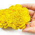 Yellow Sola Wood Flower Pack of 10
