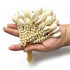 Kaudi Shell & Beads Tassel Pack Of 5