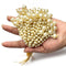 Cream Color Big Beads Tassel Pack of 5