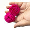 Pink Sola Wood Rose Flower Pack of 10