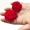 Red Sola Wood Rose Flower Pack of 10