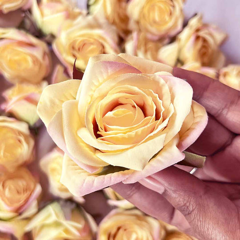 Light Peach With Move Shaded Artificial Rose Flower Set Of 6