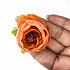 Orange Peony Buds Pack of 25 (1.5" Inches)