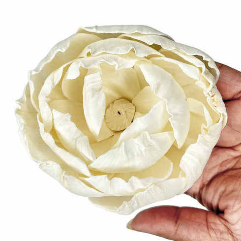 Cream Sola Wood Lotus Flower Pack of 4