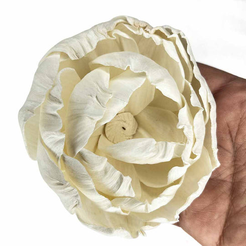 Cream Sola Wood Lotus Flower Pack of 4