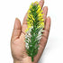 Green Pine Tree Leaves With White & Yellow Edges Set Of 12 | Green Pine Tree Leaves | White & Yellow Edges Set Of 12 | Yellow edge | Tree Leaves | Green Pine | Leaves | Art Craft | Craft Store Online | Art | Craft | Decoration | Project | Craft Store | craft shop india | india craft shop | shop craft | india craft shop | shop craft india | india craft shop | shop india