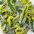 Green Pine Tree Leaves With White & Yellow Edges Set Of 12 | Green Pine Tree Leaves | White & Yellow Edges Set Of 12 | Yellow edge | Tree Leaves | Green Pine | Leaves | Art Craft | Craft Store Online | Art | Craft | Decoration | Project | Craft Store | craft shop india | india craft shop | shop craft | india craft shop | shop craft india | india craft shop | shop india
