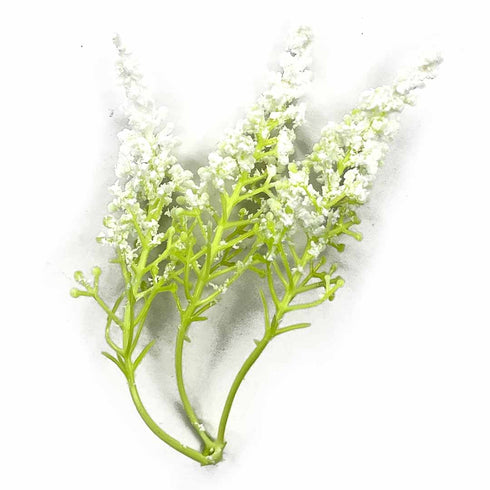 Light Green Trio Frosted Fern Leaves With White Edges Set Of 12 | Light Green | Trio Frosted Fern Leaves | white edge | Set of 12 | Art | Craft | Craft Store | Art Craft Online | Online Store OF India | craft shop india