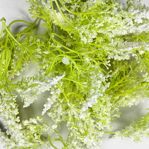 Light Green Trio Frosted Fern Leaves With White Edges Set Of 12 | Light Green | Trio Frosted Fern Leaves | white edge | Set of 12 | Art | Craft | Craft Store | Art Craft Online | Online Store OF India | craft shop india