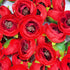 Red Peony Buds Pack of 25 (1.5" Inches)