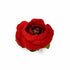 Red Peony Buds Pack of 25 (1.5" Inches)