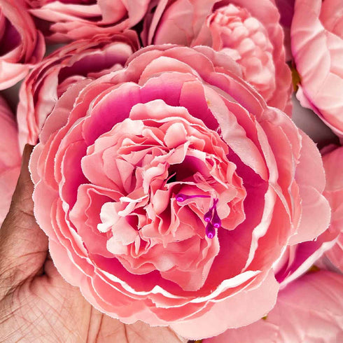 Pink Peony Buds Pack of 4 (4" Inches)