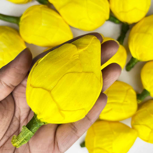 Yellow Lotus Flower Bud Set of 6